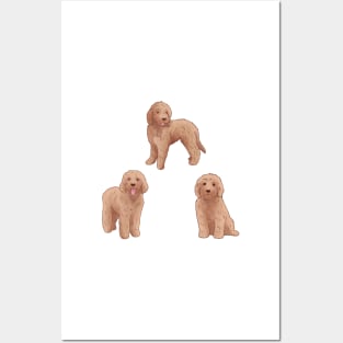 Cute Golden Doodle art pack Posters and Art